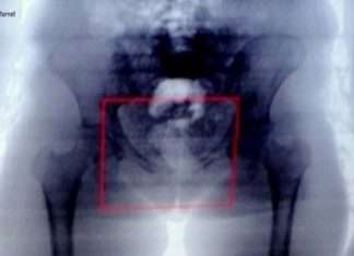 ASPs da P1 de São Vicente impedem entrada de cocaína na unidade durante visitas no domingo