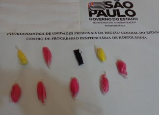 Policiais Penais do do Centro de Detenção Provisória de Hortolândia impedem entrada de drogas na unidade