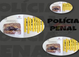 POLICIAIS PENAIS DAS PENITENCIÁRIAS DE FRANCO DA ROCHA, IPERÓ E DO CDP DE LIMEIRA IMPEDEM ENTRADA DE ILÍCITOS NAS UNIDADES