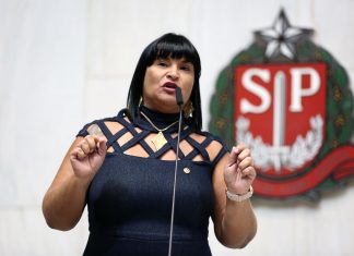 Adriana Borgo apresenta projeto de lei sobre acautelamento de armas