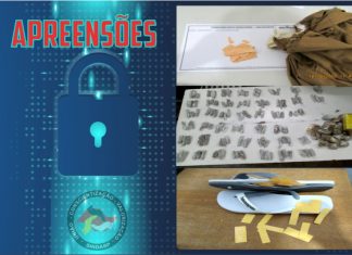 Apreensões