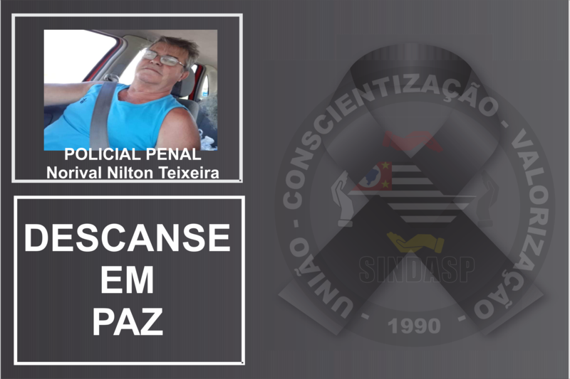 NORIVAL NILTON TEIXEIRA (1)