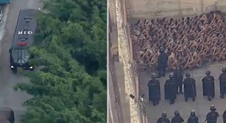 E5667FCF-9B83-4224-A210-C9951EF45E13