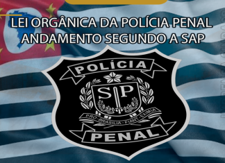 LEI ORGÂNICA DA POLÍCIA PENAL ANDAMENTO SEGUNDO A SAP