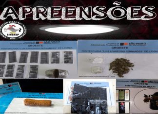 Boletim das apreensões efetuadas pelos agentes de segurança penitenciária