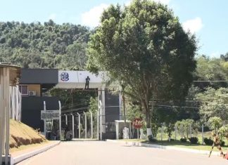 Catálogo de garotas de programa para presos e rebeliões: ex-diretor revela corrupção em presídios do ES