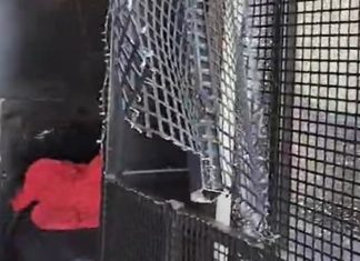 Detentos usam algemas para quebrar vidro de veículo de remoção e fogem, em Contagem MG