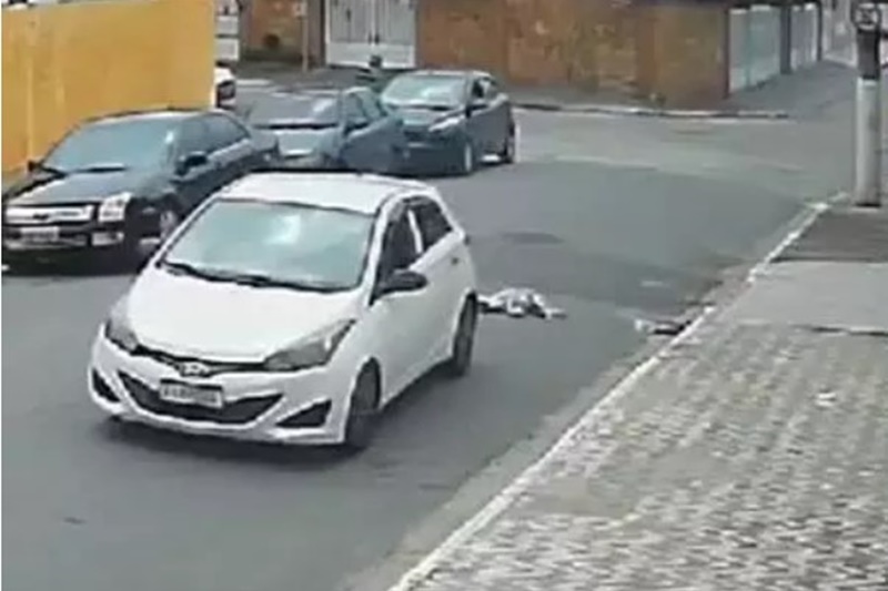 Cachorro atropelado - Cortada