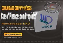 COMUNICADO CECP N° 919/2025
